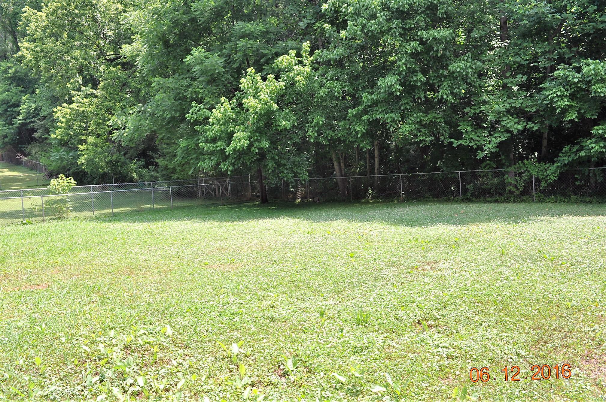 520 Lullwater Road Chattanooga, TN 37405 - Photo 4 of 16 DSC_0004 (2)