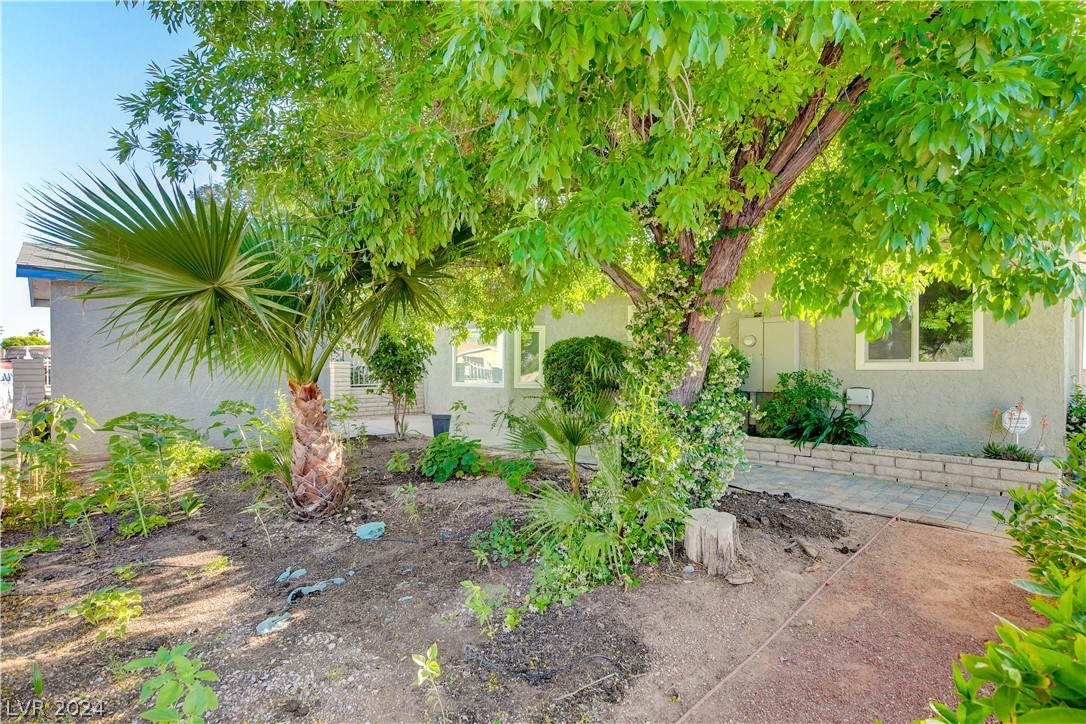 251 East Robindale Road Las Vegas, NV 89123 - Photo 42 of 45