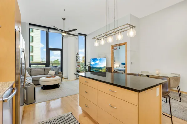 $3,100 | 1240 South 2nd Street, Unit 110, Minneapolis, MN 55415