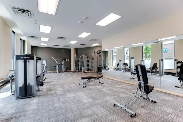 $3,100 | 1240 South 2nd Street, Unit 110, Minneapolis, MN 55415