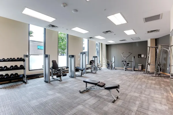 $3,100 | 1240 South 2nd Street, Unit 110, Minneapolis, MN 55415