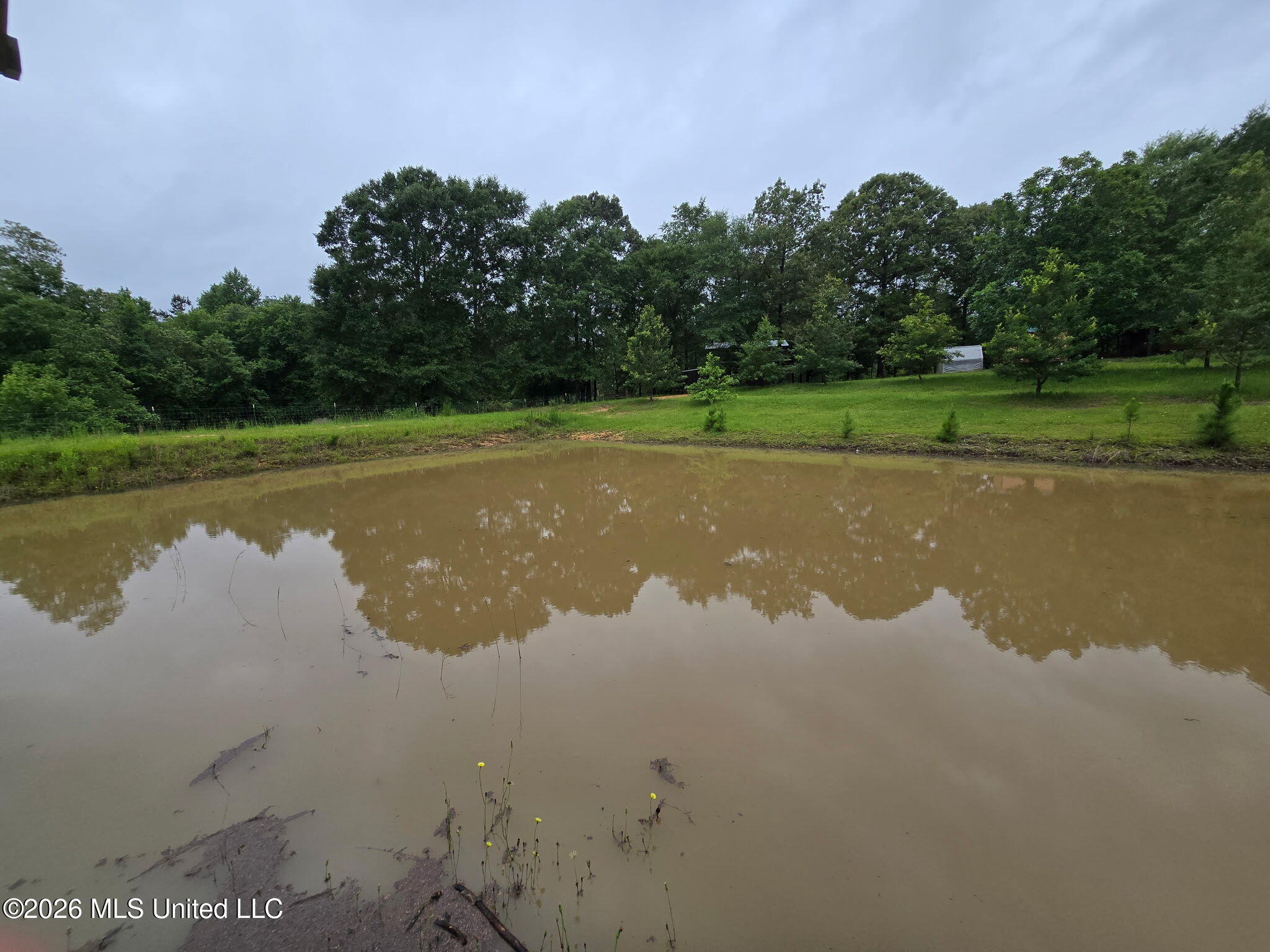 42 Boone Road Perkinston, MS 39573 - Photo 66 of 76 1000021246