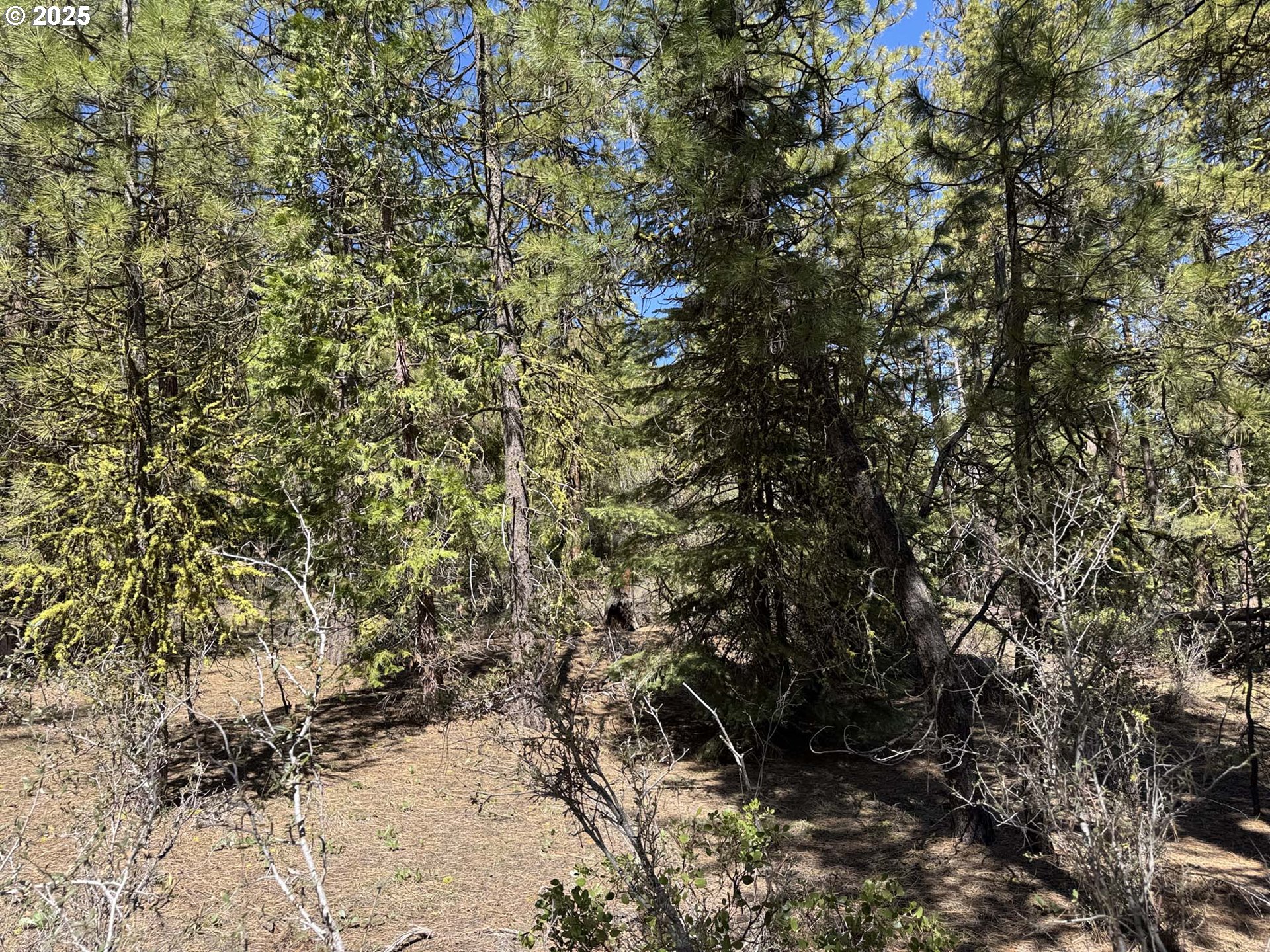 Horned Owl Lane Bonanza, OR 97623 - Photo 33 of 44