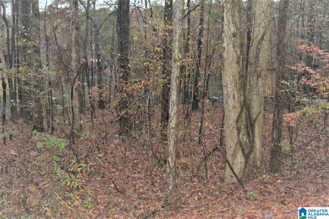 0 County Road 921, Unit 2 Delta, AL 36258 - Photo 12 of 17