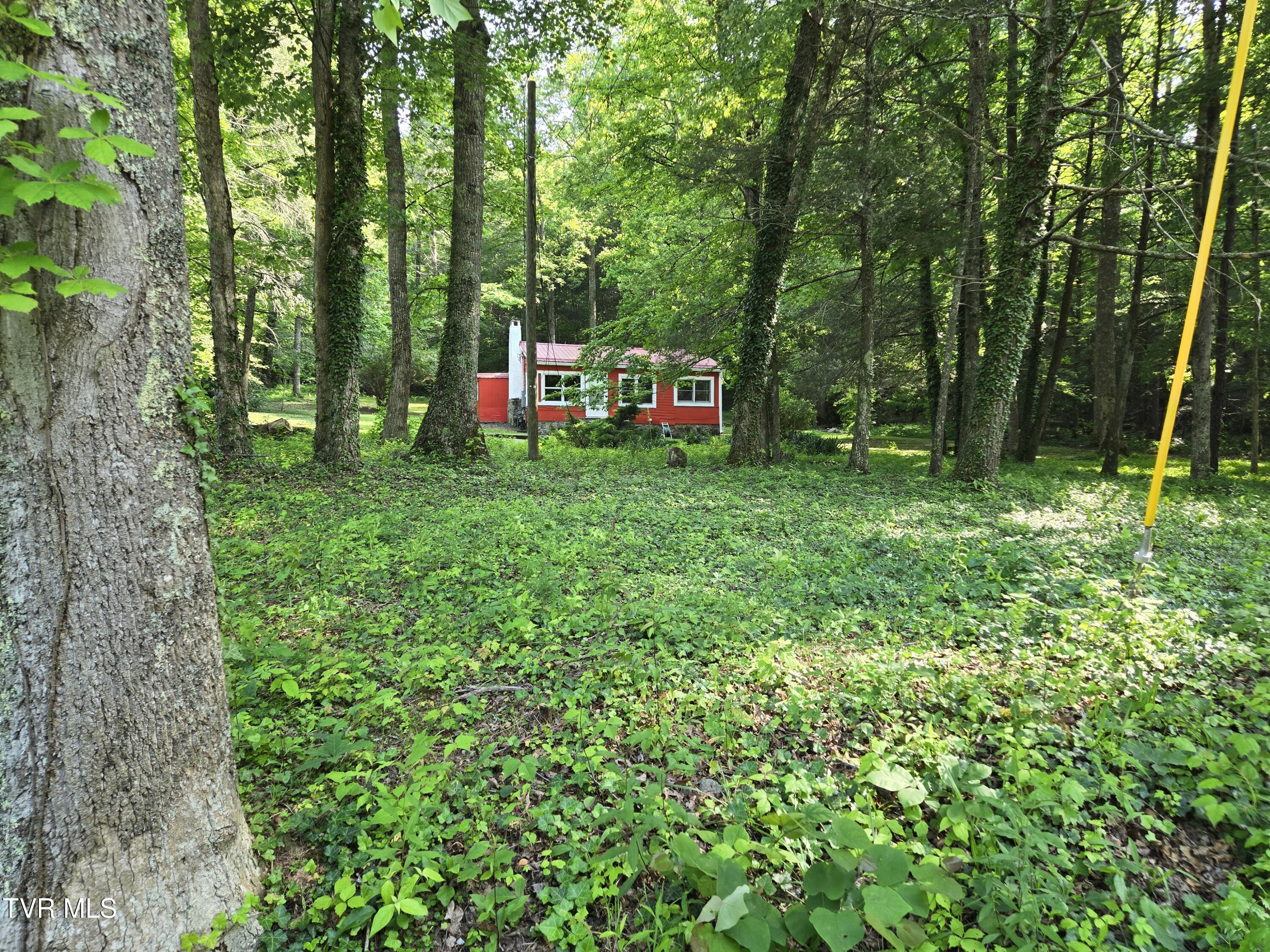1510 Rock Creek Road Erwin, TN 37650 - Photo 3 of 19 f0c0ab38-a15d-4c89-af78-758c6cf927a7-1_a