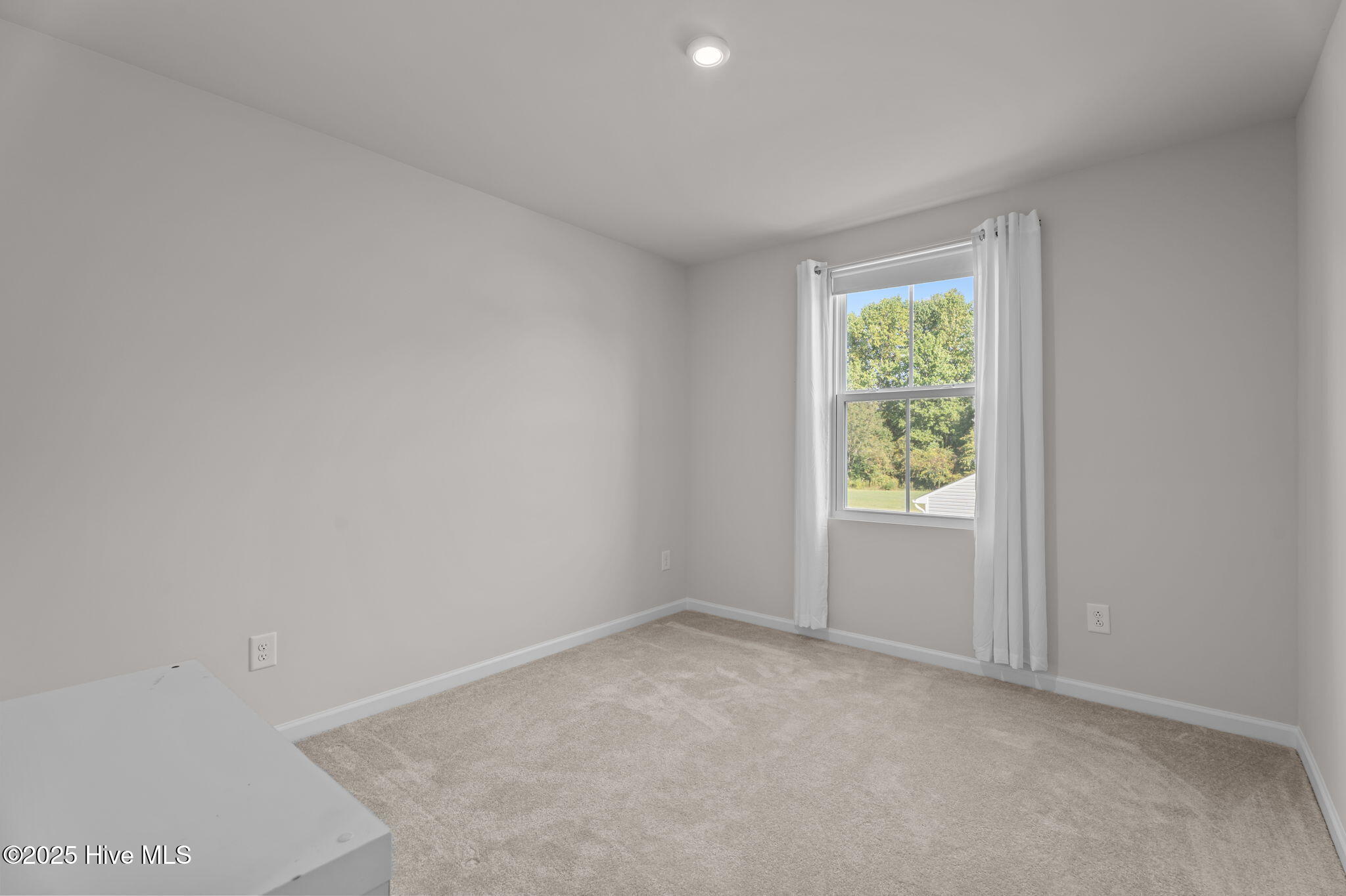 9426 Juniper Road Bailey, NC 27807 - Photo 27 of 39 22