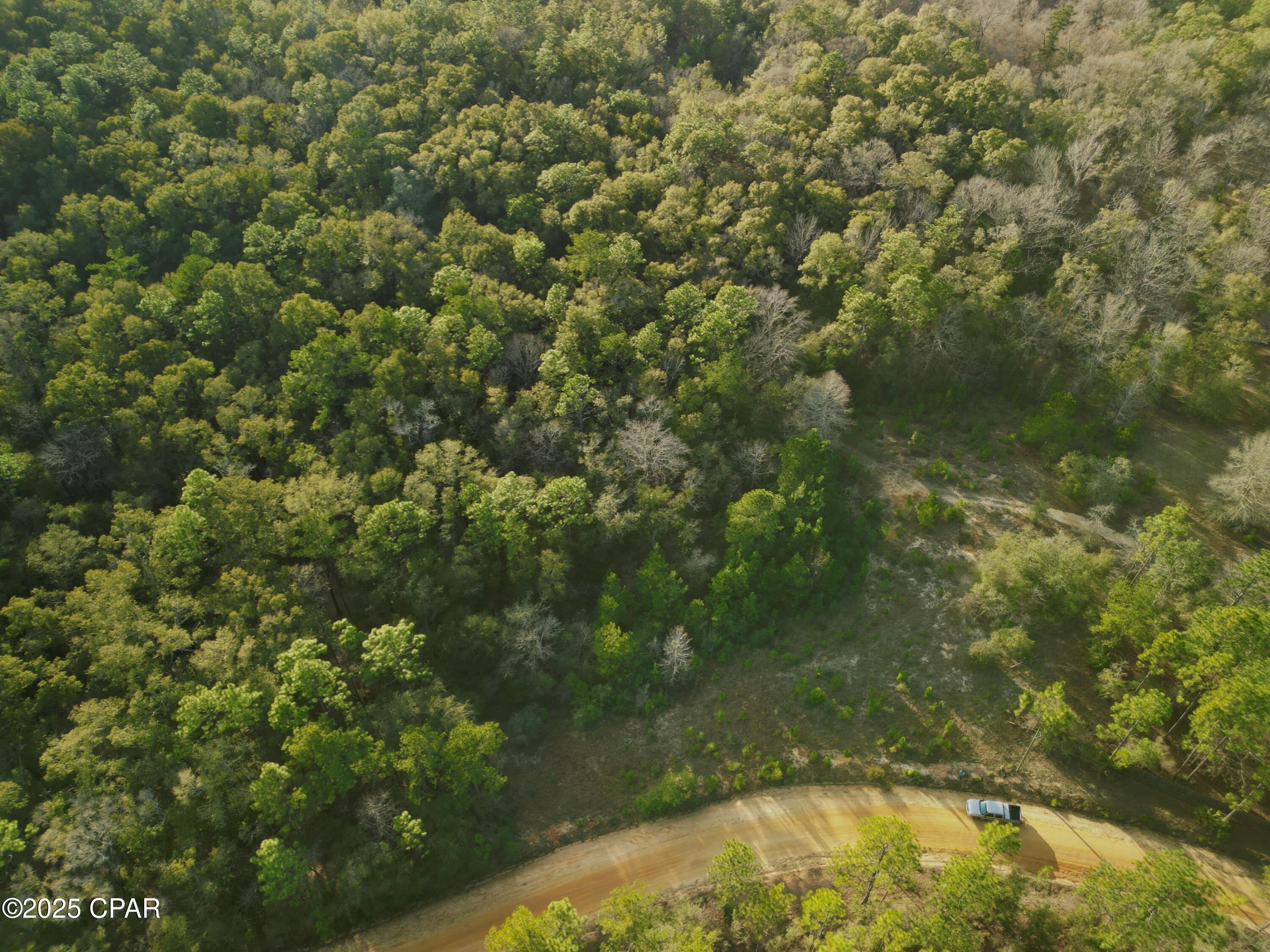 0 Creek Run Road Vernon, FL 32462 - Photo 4 of 9