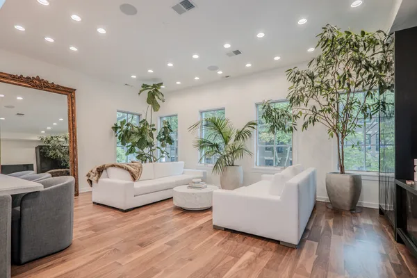 a living room with furniture and a potted plant