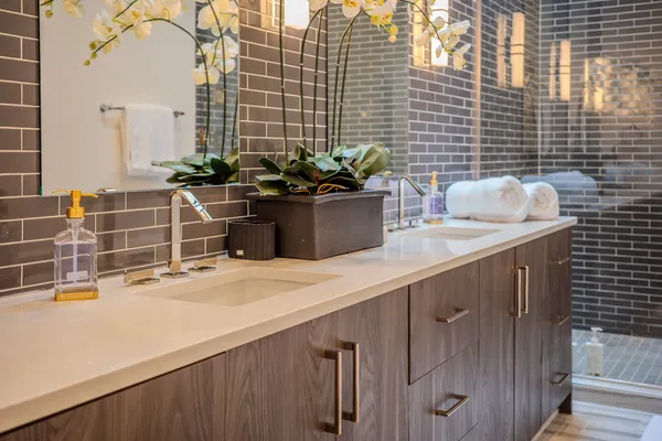 $20,000 | 22 East Elm Street, Unit PH, Chicago, IL 60611