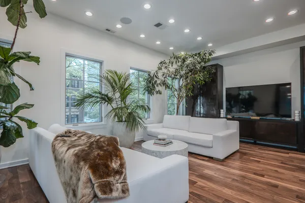 a living room with furniture and a potted plant