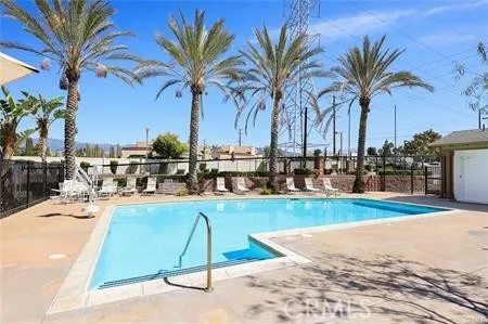 a view of a swimming pool with a chair and palm trees