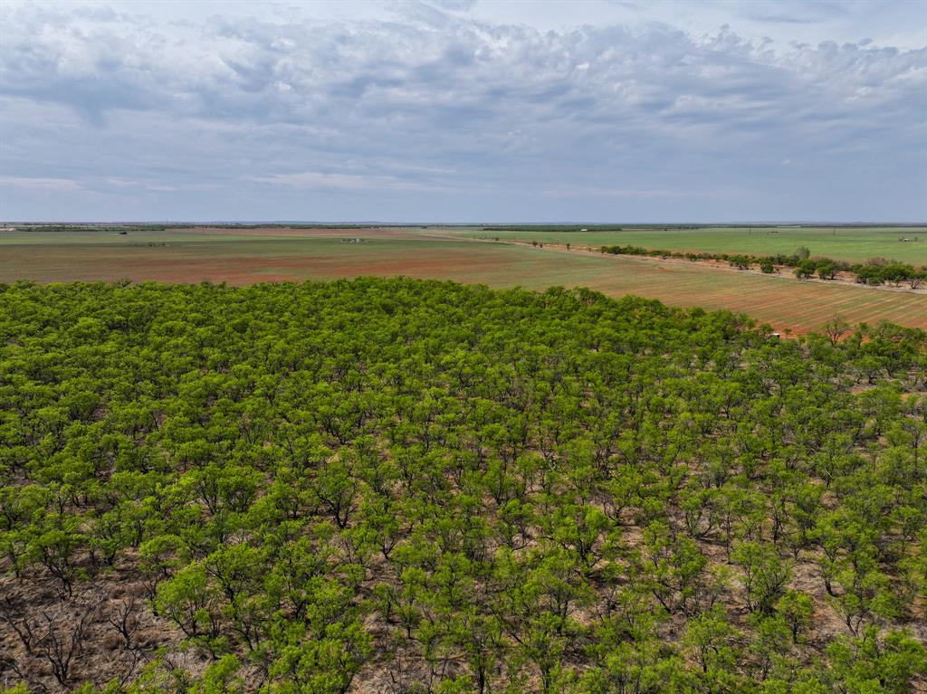 134 C R 134 Old Glory, TX 79540 - Photo 3 of 14