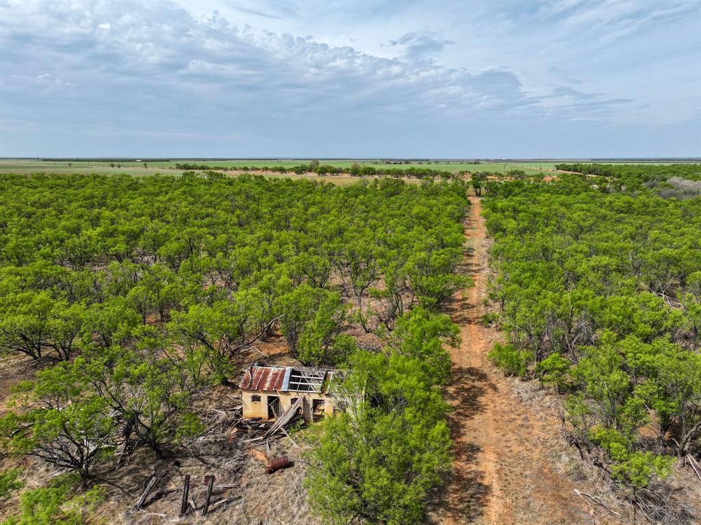 134 C R 134 Old Glory, TX 79540 - Photo 4 of 14