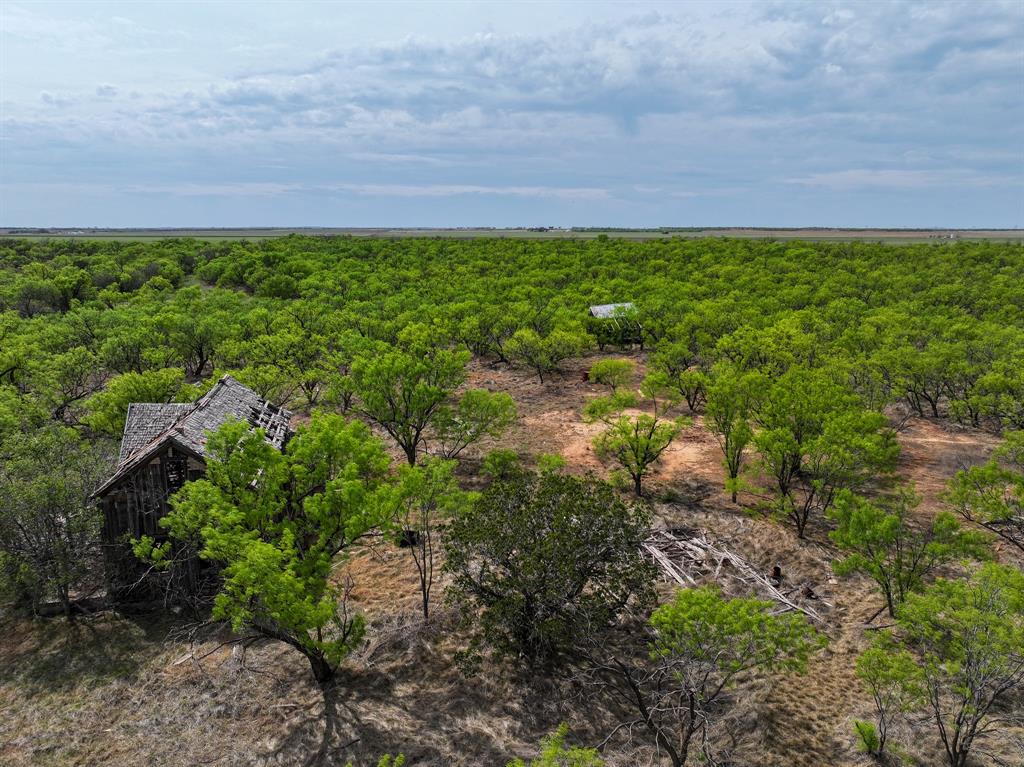 134 C R 134 Old Glory, TX 79540 - Photo 5 of 14