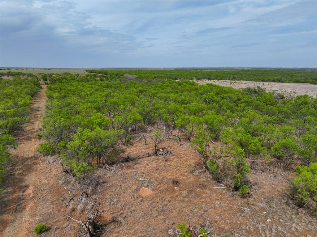 134 C R 134 Old Glory, TX 79540 - Photo 8 of 14