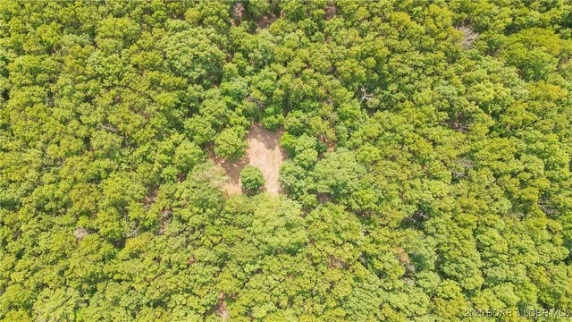 $550,000 | 216.87 Tbd Medley Lane, Eldridge, MO 65463