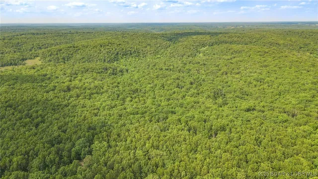 $550,000 | 216.87 Tbd Medley Lane, Eldridge, MO 65463