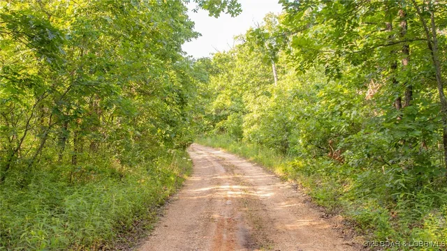 $550,000 | 216.87 Tbd Medley Lane, Eldridge, MO 65463