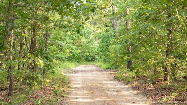 $550,000 | 216.87 Tbd Medley Lane, Eldridge, MO 65463