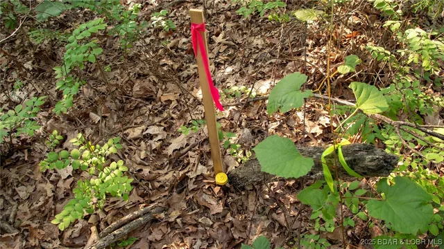 $550,000 | 216.87 Tbd Medley Lane, Eldridge, MO 65463