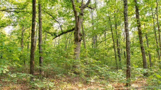 $550,000 | 216.87 Tbd Medley Lane, Eldridge, MO 65463