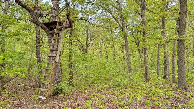 $550,000 | 216.87 Tbd Medley Lane, Eldridge, MO 65463