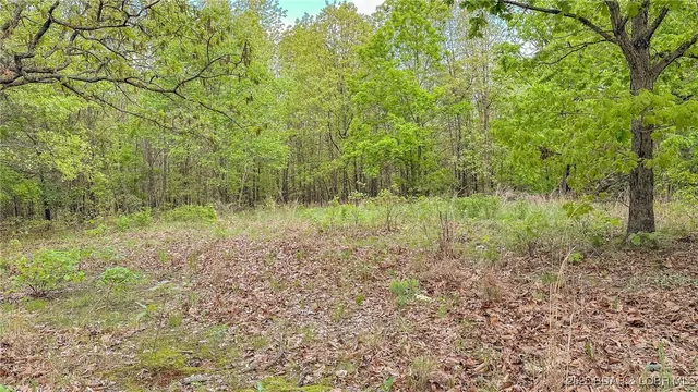 $550,000 | 216.87 Tbd Medley Lane, Eldridge, MO 65463