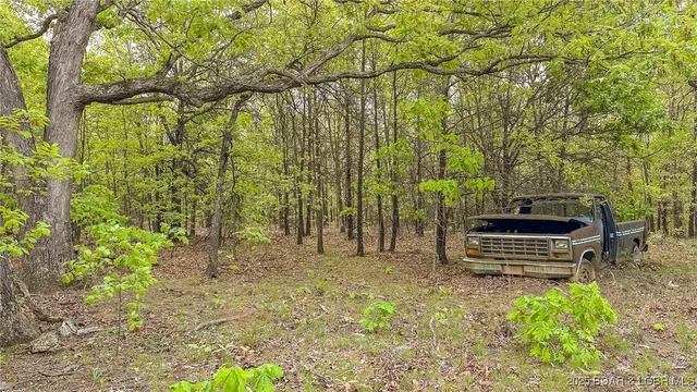 $550,000 | 216.87 Tbd Medley Lane, Eldridge, MO 65463