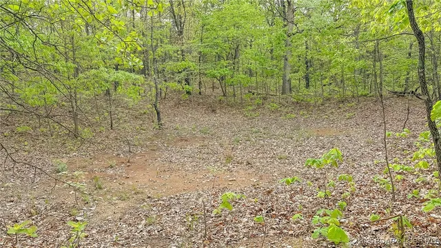 $550,000 | 216.87 Tbd Medley Lane, Eldridge, MO 65463