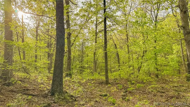 $550,000 | 216.87 Tbd Medley Lane, Eldridge, MO 65463