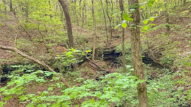 $550,000 | 216.87 Tbd Medley Lane, Eldridge, MO 65463