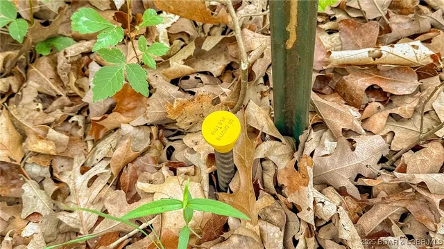 $550,000 | 216.87 Tbd Medley Lane, Eldridge, MO 65463