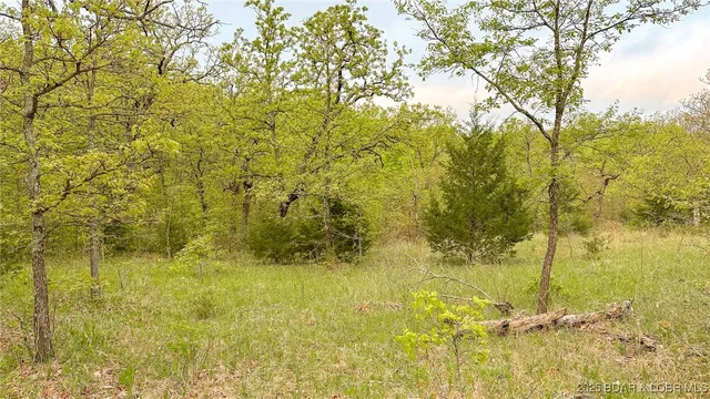 $550,000 | 216.87 Tbd Medley Lane, Eldridge, MO 65463