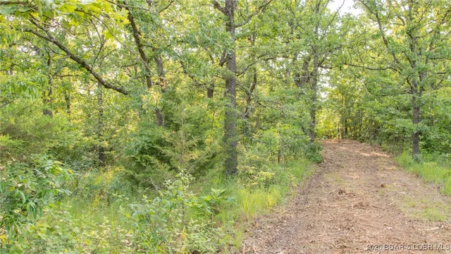 $550,000 | 216.87 Tbd Medley Lane, Eldridge, MO 65463