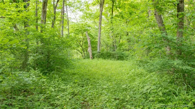 $550,000 | 216.87 Tbd Medley Lane, Eldridge, MO 65463