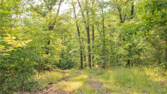 $550,000 | 216.87 Tbd Medley Lane, Eldridge, MO 65463