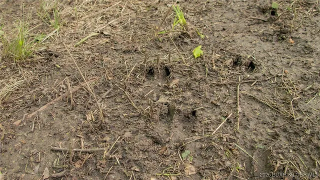 $550,000 | 216.87 Tbd Medley Lane, Eldridge, MO 65463