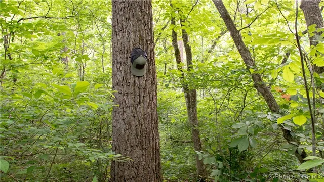 $550,000 | 216.87 Tbd Medley Lane, Eldridge, MO 65463