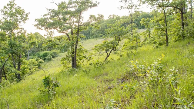 $550,000 | 216.87 Tbd Medley Lane, Eldridge, MO 65463