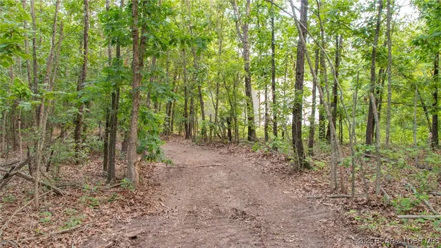 $550,000 | 216.87 Tbd Medley Lane, Eldridge, MO 65463