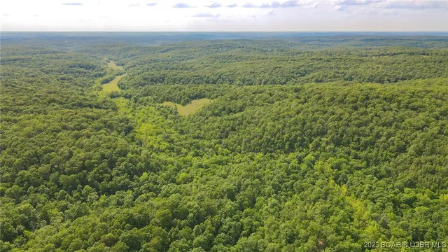 $550,000 | 216.87 Tbd Medley Lane, Eldridge, MO 65463