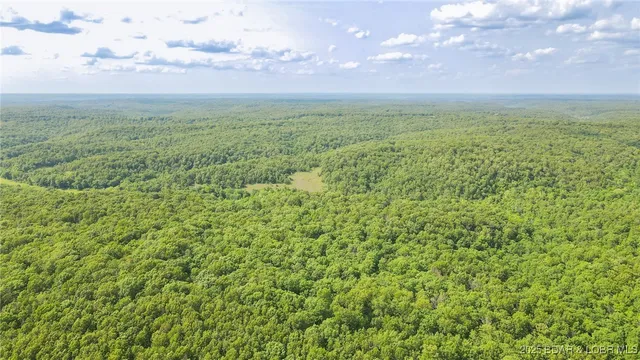 $550,000 | 216.87 Tbd Medley Lane, Eldridge, MO 65463