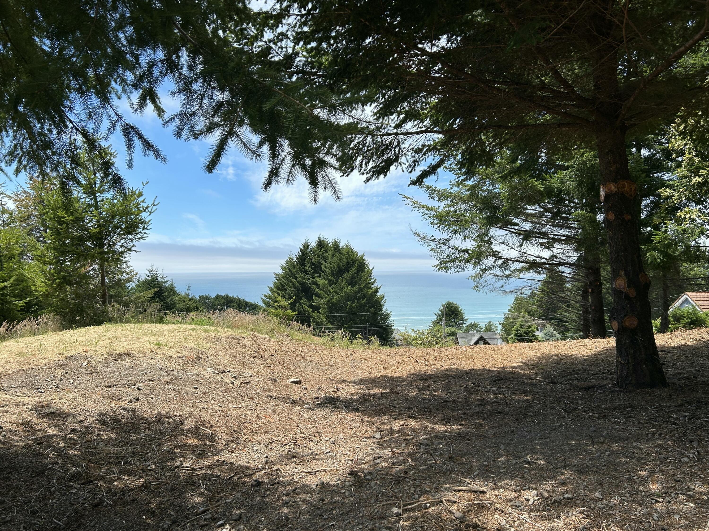 542-554 Ridge Road Shelter Cove, CA 95589 - Photo 8 of 20