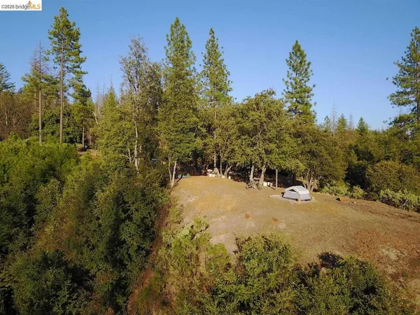 a view of a yard with trees in the background
