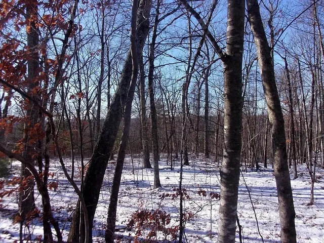 a view of outdoor space