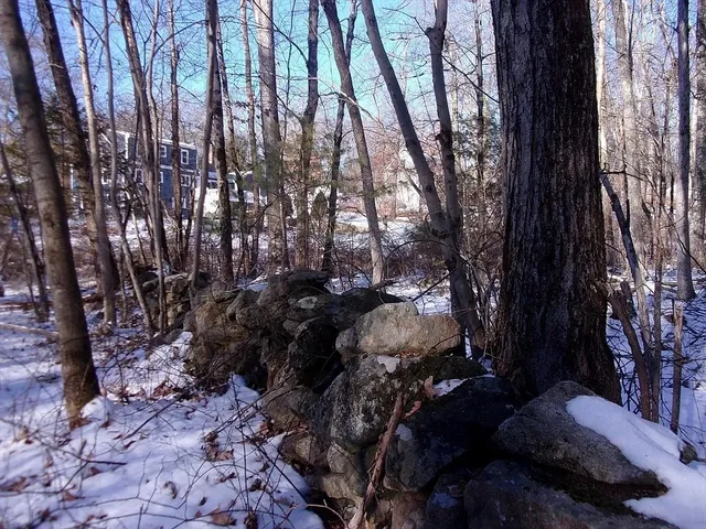 a view of outdoor space