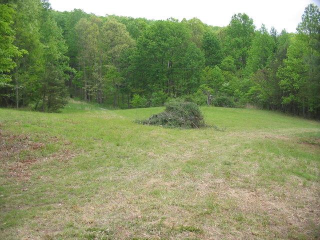 999 Hatcher Road Jumping Branch, WV 25969 - Photo 2 of 16 Gallery Image 2