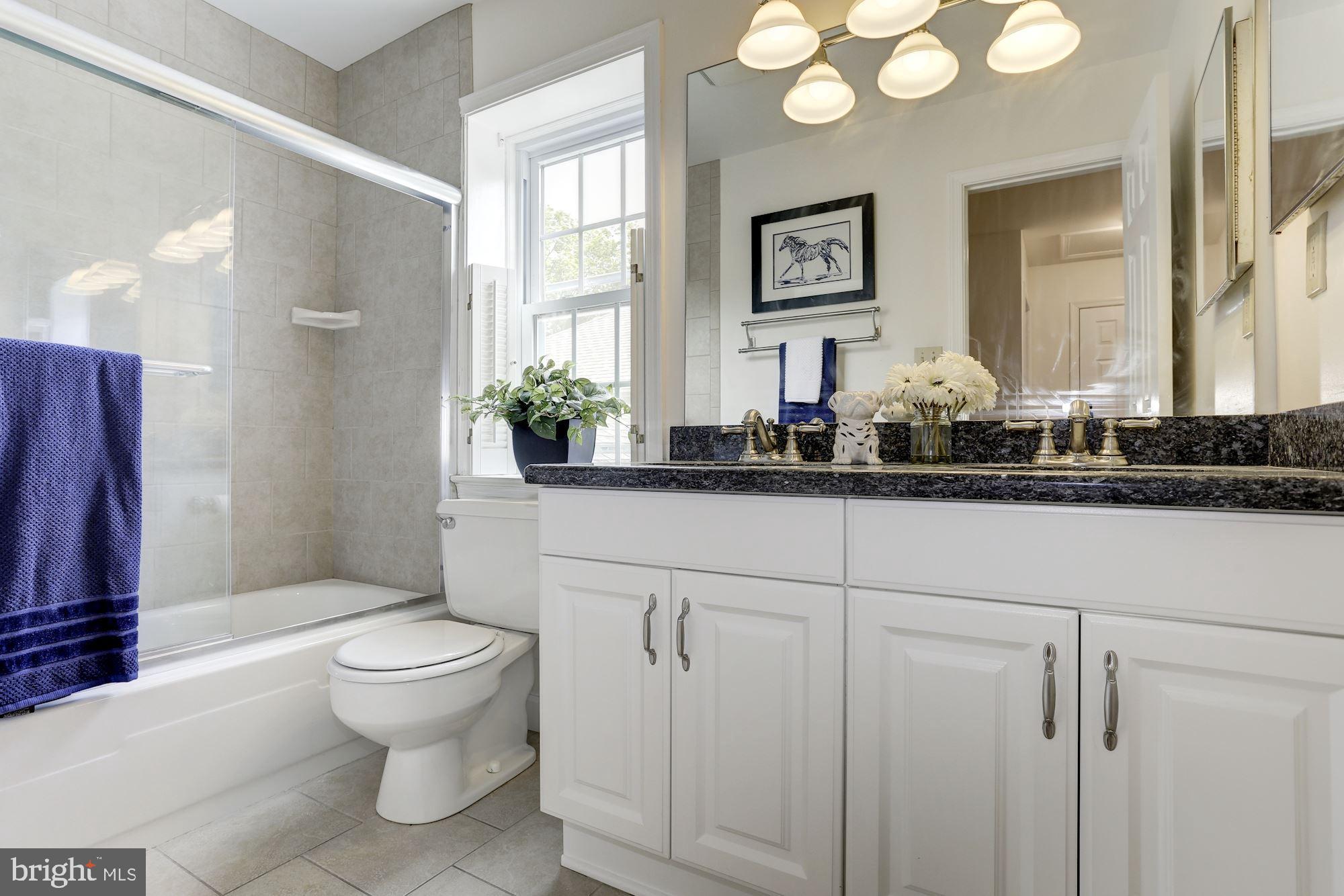 10239 Gainsborough Road Potomac, MD 20854 - Photo 19 of 21 a bathroom with a toilet sink and mirror