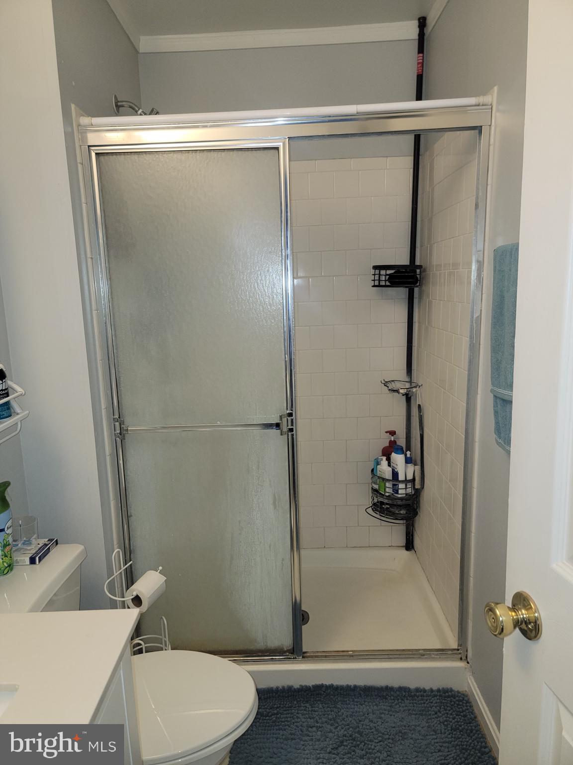 37 Gunfalls Garth Baltimore, MD 21236 - Photo 28 of 64 Primary Bath