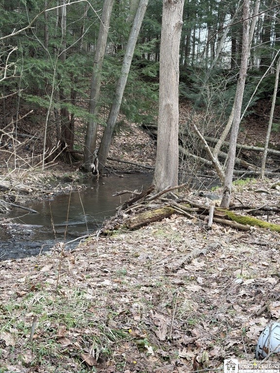 1760 Emory Hill Road Frewsburg, NY 14738 - Photo 4 of 9